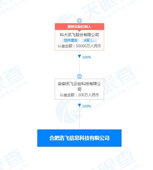 科大訊飛于合肥成立新信息科技公司，業(yè)務(wù)觸及芯片制造與咨詢(xún)服務(wù)